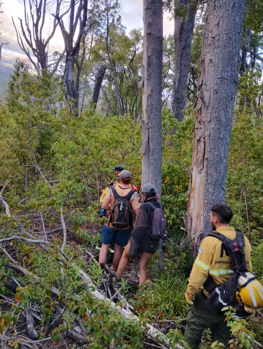 Rescataron a dos turistas que se perdieron en el Parque Nacional Los Alerces