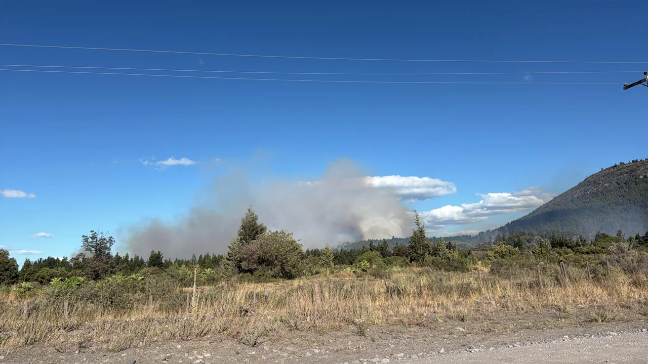 Incendio circunscripto: tras intensas tareas de combate lograron perimetrar el fuego en Los Cipreses