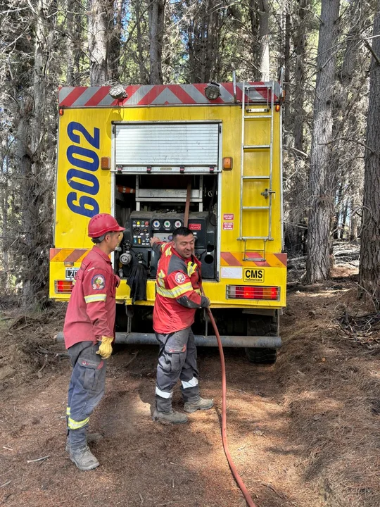 Lograron contener el incendio forestal en la zona de Los Cipreses