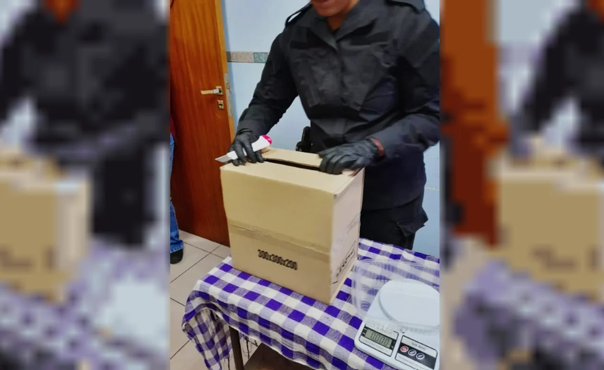 Operativo en terminal de Esquel: decomisan droga lista para la venta