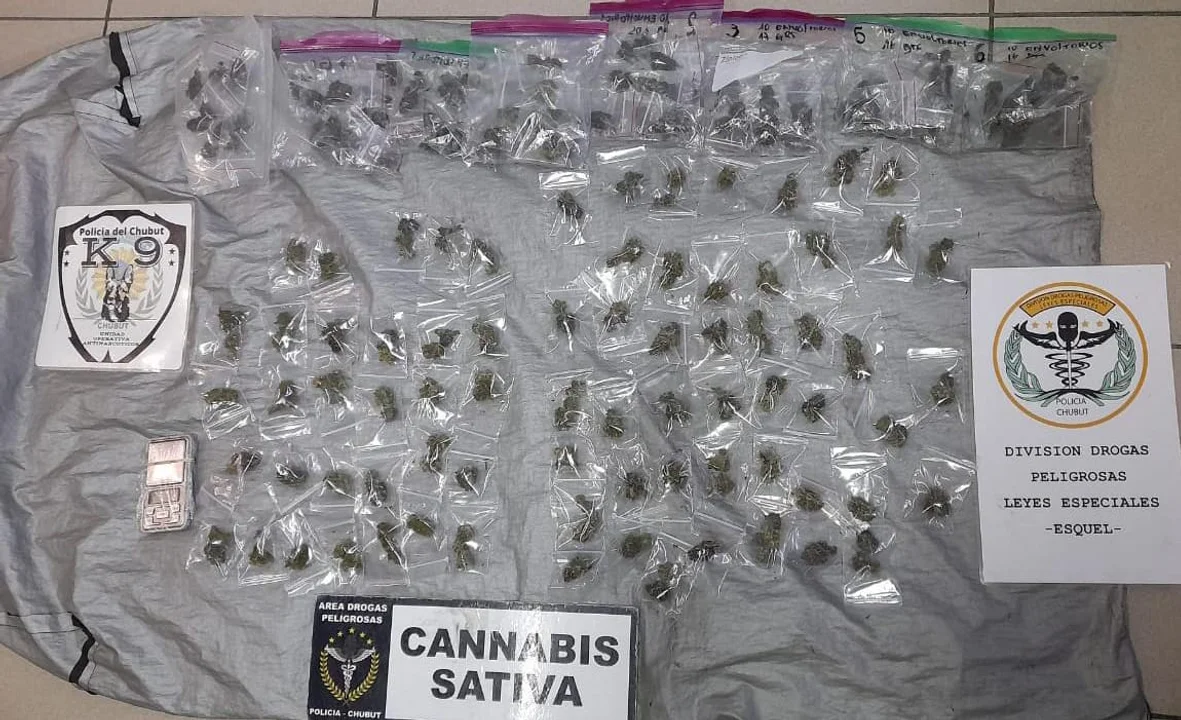 Operativo en terminal de Esquel: decomisan droga lista para la venta