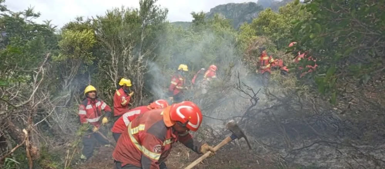 El incendio en Atilio Viglione continúa avanzando debido a los intensos vientos