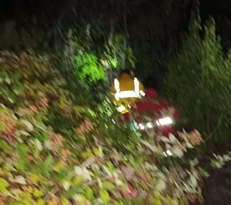 Operativo de rescate de una joven que se perdió en un sendero de Lago Puelo