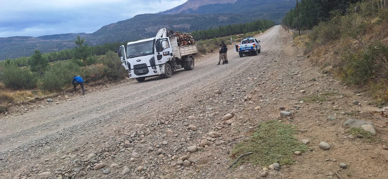 Seguridad Rural secuestró leña transportada sin autorización en el camino a Alto Río Percy
