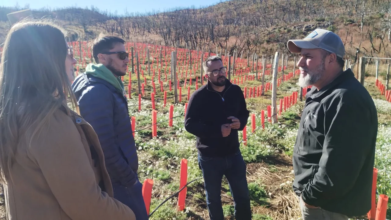 Taccetta visitó emprendimientos vitivinícolas y presentó el proyecto de incentivo a producciones intensivas