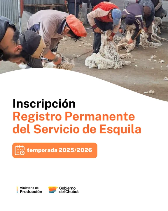 Chubut convoca a prestadores para la esquila: ya está abierta la inscripción al registro oficial