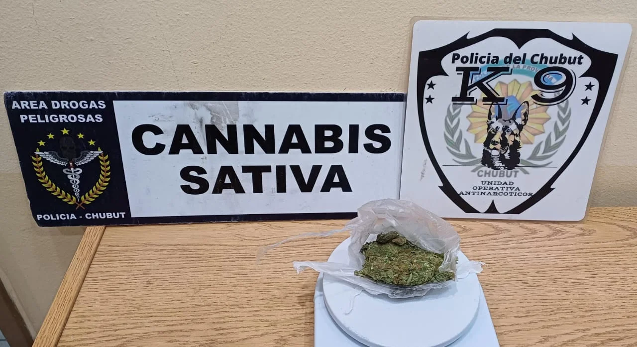Encontraron marihuana en la mochila de un pasajero en la terminal de ómnibus de Esquel