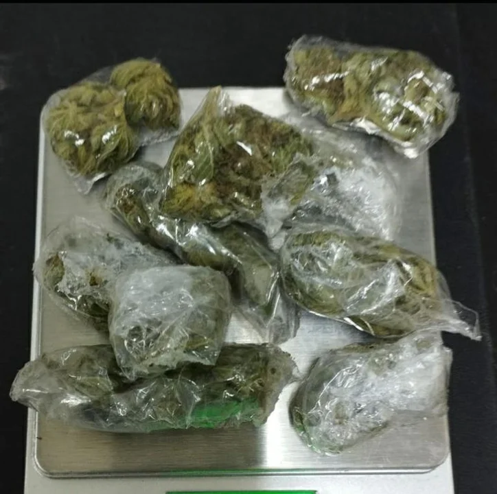 Secuestran drogas y desarticulan dos puntos de venta en operativos conjuntos en Esquel y Bariloche