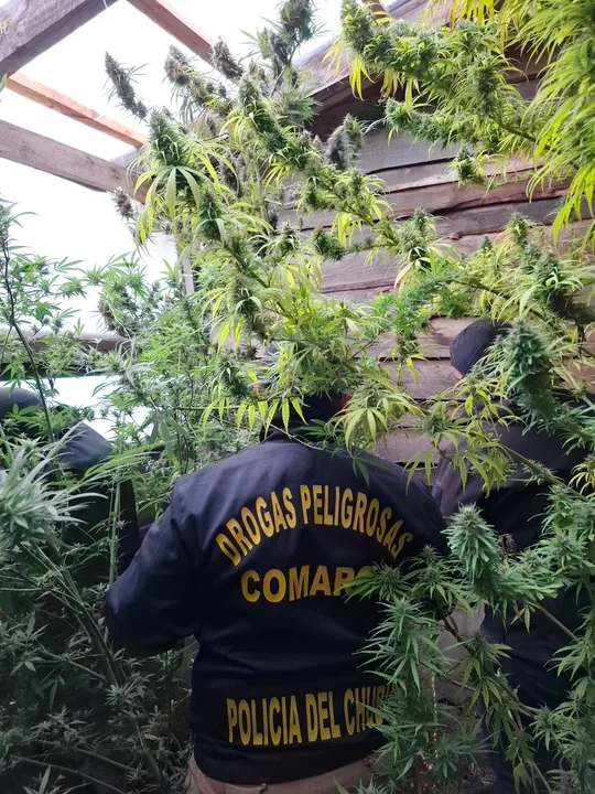 Detectan presunto punto de venta de droga al menudeo en la Comarca 